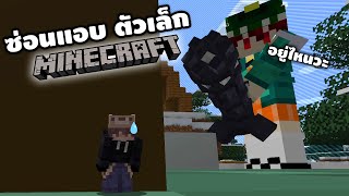 Minecraft ซ่อนแอบแบบตัวเล็ก555+