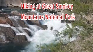 Hiking in Great Smokey Mountains National Park
