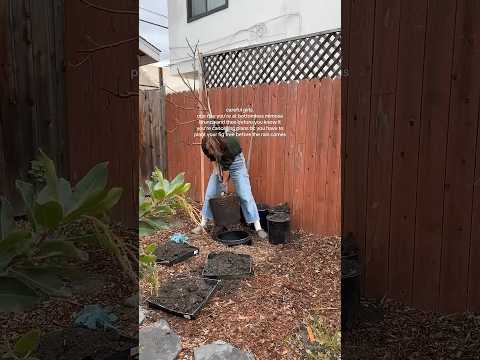 god forbid a girl have grandma hobbies #garden #gardening #diy #girlhood #millennial