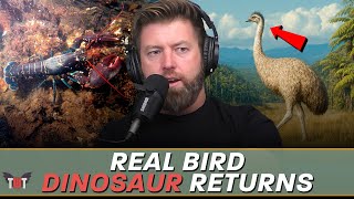 Extinct Giant Bird De-Extinction, The Truth About Vets & World Record Lobsters
