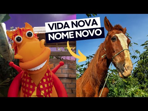 ESCOLHEMOS UM NOME PARA O POTOCÓ 🐴❤️