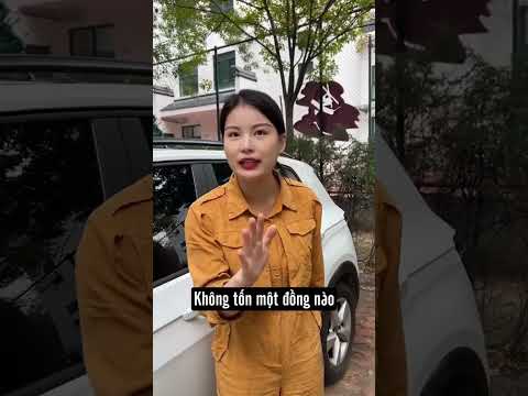 Hướng dẫn xử lý khi quên chìa khóa trong xe – Tránh làm hỏng xe! #QuênChìaKhóa, #MởCửaXeÔTô