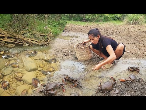 Found and Catch Big crab in the mud, Crab soup tasty, Shell hot chili cooking, Top 5 survival video