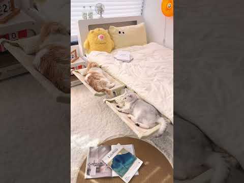 Cozy Bedside Cat Hammock: Perfect for Snuggles and Saving Space | Renter Friendly | No Suction Cup