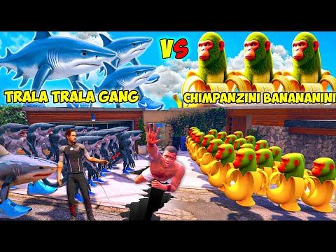 Franklin CHIMPANZINI BANANANINI Gang VS Shinchan TRALALERO TRALALA Gang Fight In GTA 5!