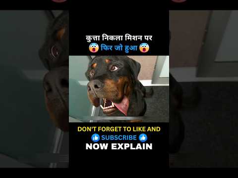 कुत्ता निकला मिशन पर 😯 #movie  #movieexplainedinhindi #shortsfeed #shorts