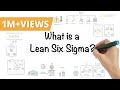 Lean Six Sigma Concepts and Methodologies