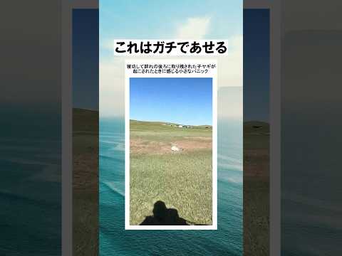 みんなあああどこおおおおお！！！