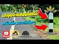 การเรียนรู้จากวิดีโอ