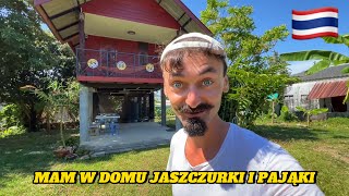 Zamieszkałem w domku na wsi - Tajlandia