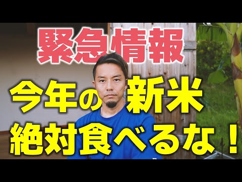 【緊急シェア】今年の新米は、食べないで。