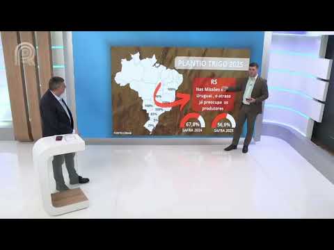 A quarta onda de frio já tem data marcada; confira quando esfriará de novo