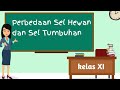 Perbedaan Sel Hewan dan Sel Tumbuhan