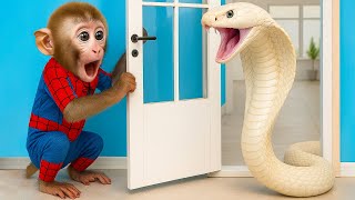 Bon Bon Si Monyet Kecil Bertemu Parade Ular & Makan Es Krim Lezat Bersama Anak Anjing! 🐵🍦🐍🐶