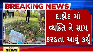 દાહોદ માં વ્યક્તિ ને સાપ કરડતા આવું કર્યું