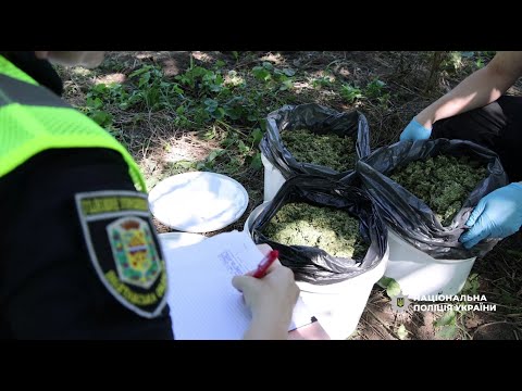 Поліцейські Полтавщини викрили організовану наркогрупу
