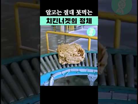 우리가 아는 그 '치킨너겟'의 정체