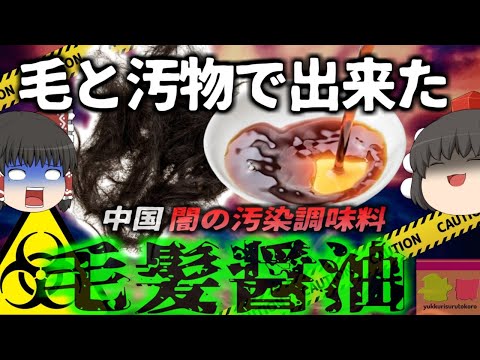 【2004年】『髪の毛と汚物から作った醤油』中国で人毛を原料にした粗悪な醤油製造が摘発 　発がん性のある有毒物質を含有する醤油が未だに屋台で使用され…【ゆっくり解説】