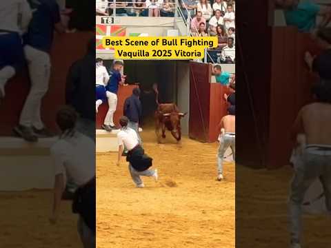 Best Scene of Bull Fighting Vaquilla 2025 Vitoria #shorts #best #scene #bull #fight #vaquilla #2025