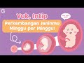 Perkembangan Janin dalam Kandungan