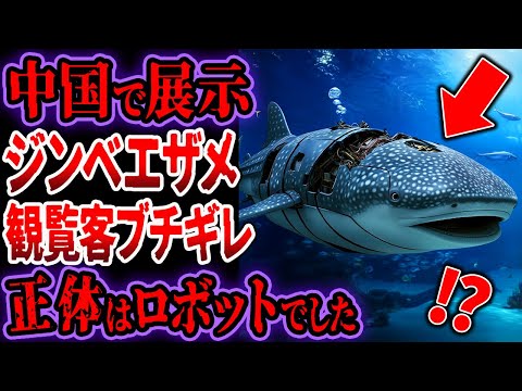 中国の水族館で展示されたジンベイザメ...なぜか観覧客がブチギレ...調査した結果、ヤバい正体が判明【ゆっくり解説】