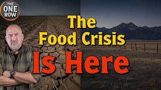 The Next Crisis Threatening the US Food Supply