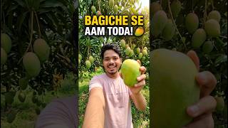 Aam Toda #minivlog #shorts #minivlog #shortvideo #minivlogs #minivlogshorts #vlog