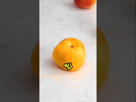 اختراعات بسيطه يمكن عملها في المنزل |جوزي بيتريق على شكلي#قصص_رون #اسراء_نبيل #ثوانى_مع_لوزا #shorts