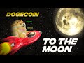 Dogecoin Investment Strategies and Sentiments