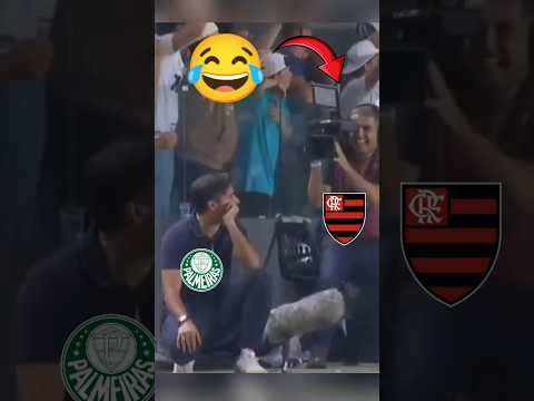 REAÇÃO DO CÂMERA COM ABEL FERREIRA VENDO PALMEIRAS LEVAR O GOL 🤣 #flamengo #palmeiras #mengão #mengo