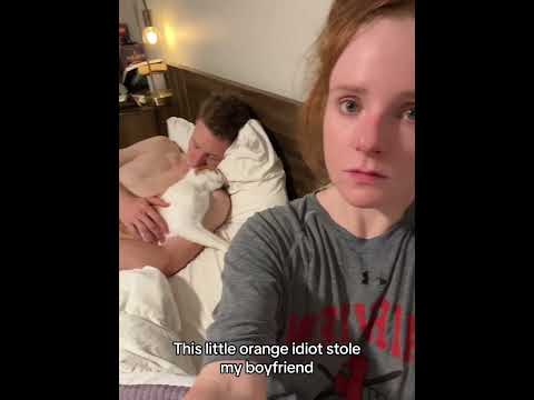 Cat: Woman, you are superfluous🐱🥴😈#cat #funnycat #cats #funnyvideos #fyp #funnyanimal #funny