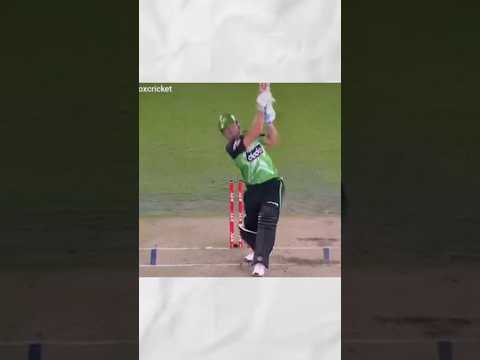 Odd Moments In Cricket Ever