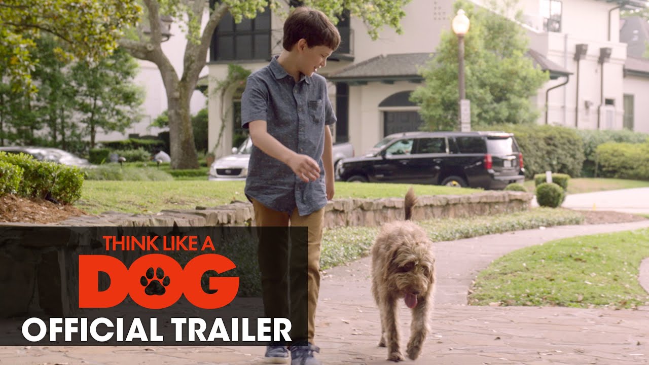 Think Like a Dog Trailer thumbnail