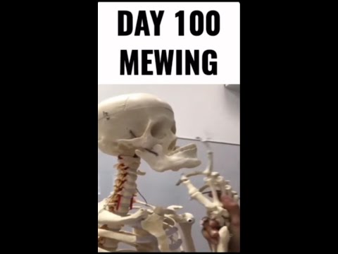 Memes to send the homies at 2am V42 #memes