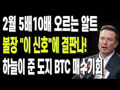 리플CEO 작심발언 2월 보유수량 더 늘려라 5배10배 오르는 단타알트