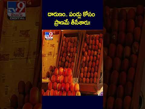 దారుణం.. పండ్లు కోసం ప్రాణమే తీసేశారు! - TV9