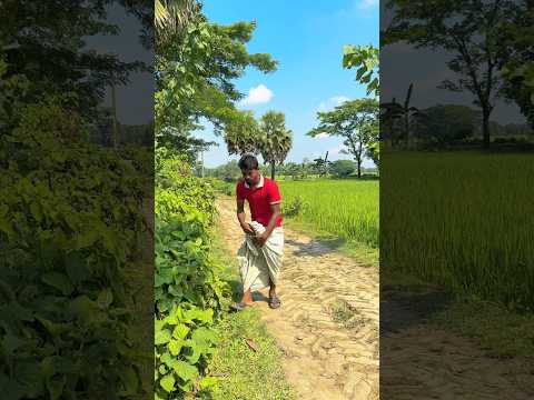 Wait for ending 🤣🤣🤣 #funnyvideos #sehar #viralshorts #prankvideo #marriagecentre #comedy