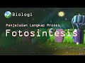 Photosynthesis Concepts and Processes
