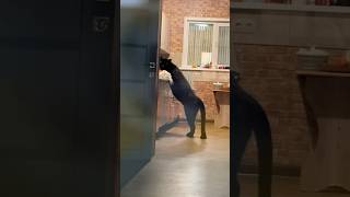 Who is cooking in my kitchen? 😂