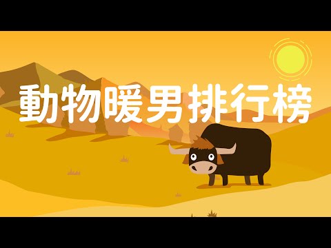 動物界暖男排行榜！奇葩求偶方式大盤點 - YouTube