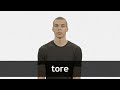 Understanding the Concept of 'Tore'