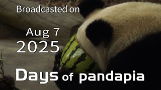 20250807 Broadcast Top Highlights 05