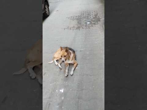 ุงุฒุงู ุชุชุตุฑู ูู ูุฌู
ุนููู ููุจ