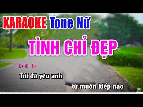 Tình Chỉ Đẹp Karaoke Tone Nữ – Beat Phối Mới – Nhạc Sống Thanh Ngân