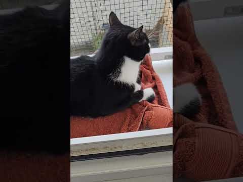 Frau des Hauses schläft bei Charlie ?
