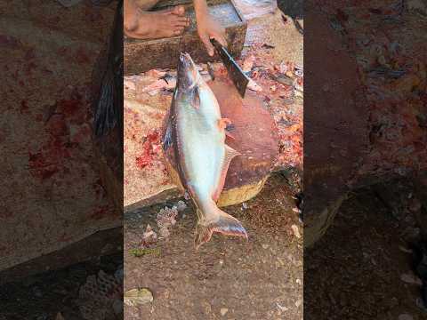Wow!! Traditional Pangas Fish Cutting Skills In Expert Cutter 😳😱 #shorts