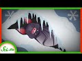 Snow Dens and Ussurian Tube-nosed Bats
