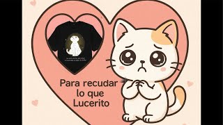 Primer Paso para la transfusión (fuerza Lucerito)-Michi House ❤️🐱