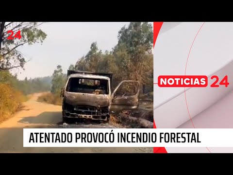 Múltiples focos de incendio se registran en La Araucanía