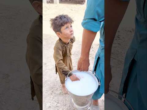 child feeding puppies #ytshorts #foryou #emotional #viralvideo #shortfeed